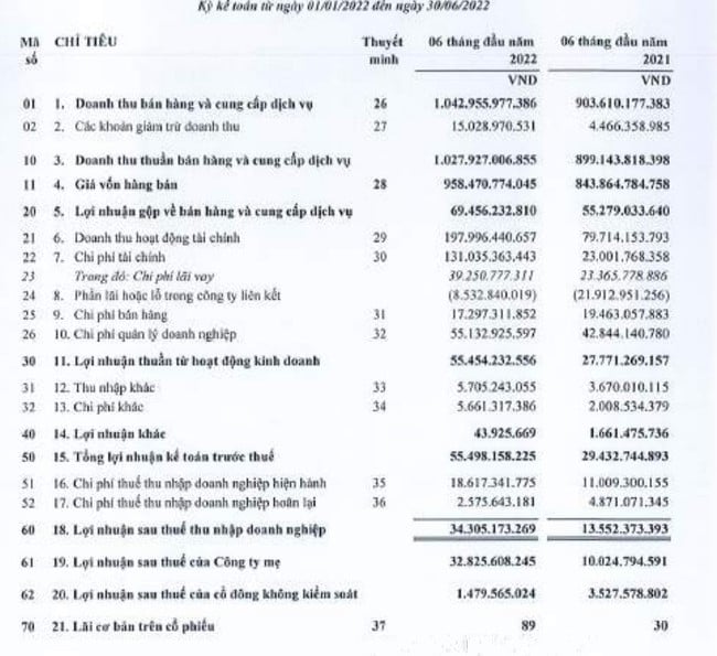 SAM Holdings: Chốt ngày trả cổ tức năm 2021 bằng cổ phiếu tỷ lệ 4% - Ảnh 2.