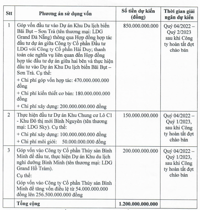 LDG muốn chào bán riêng lẻ 120 triệu cổ phiếu với giá 10.000 đồng/CP - Ảnh 2.
