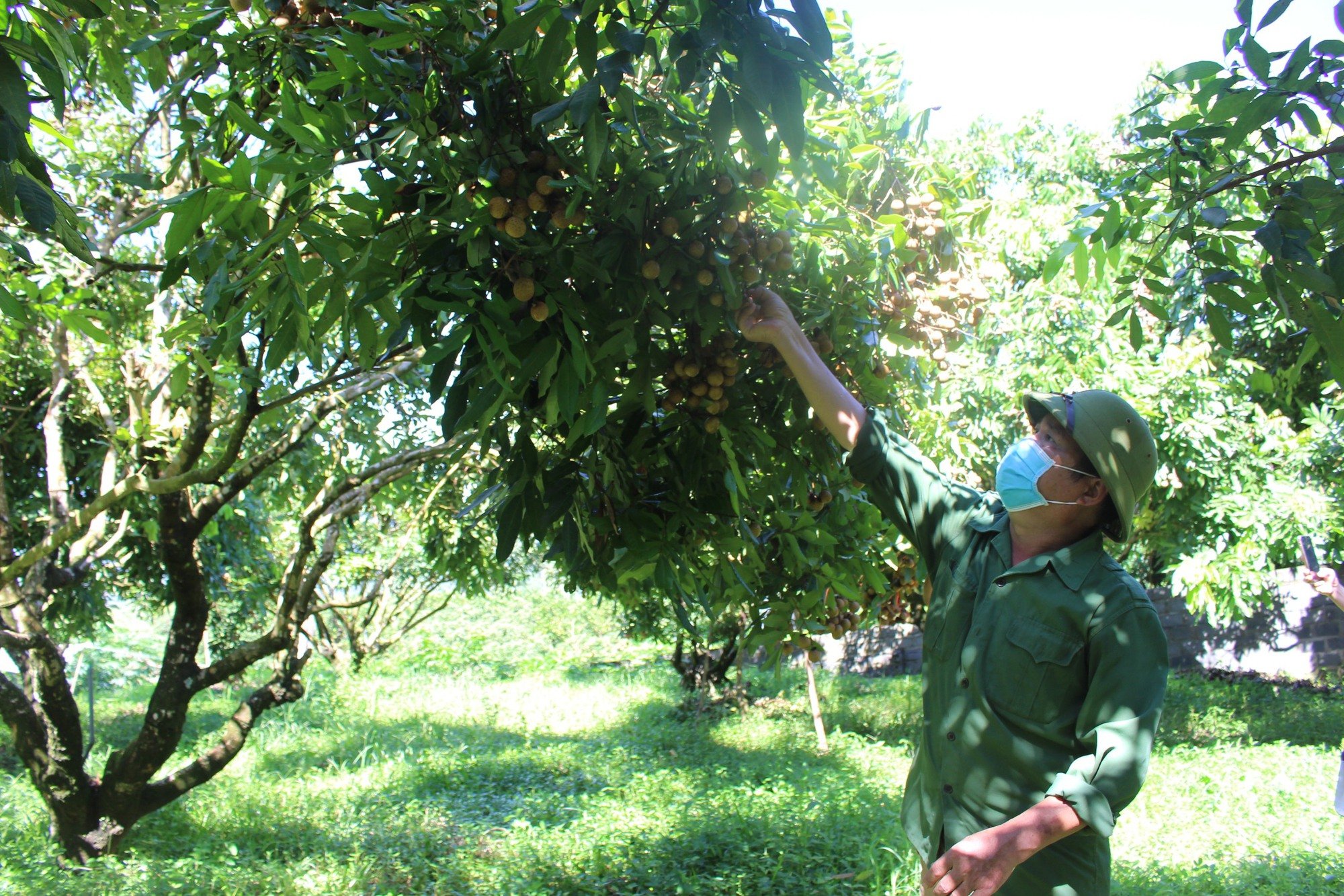 Nông sản Hoà Bình rộng đường xuất ngoại - Ảnh 3.