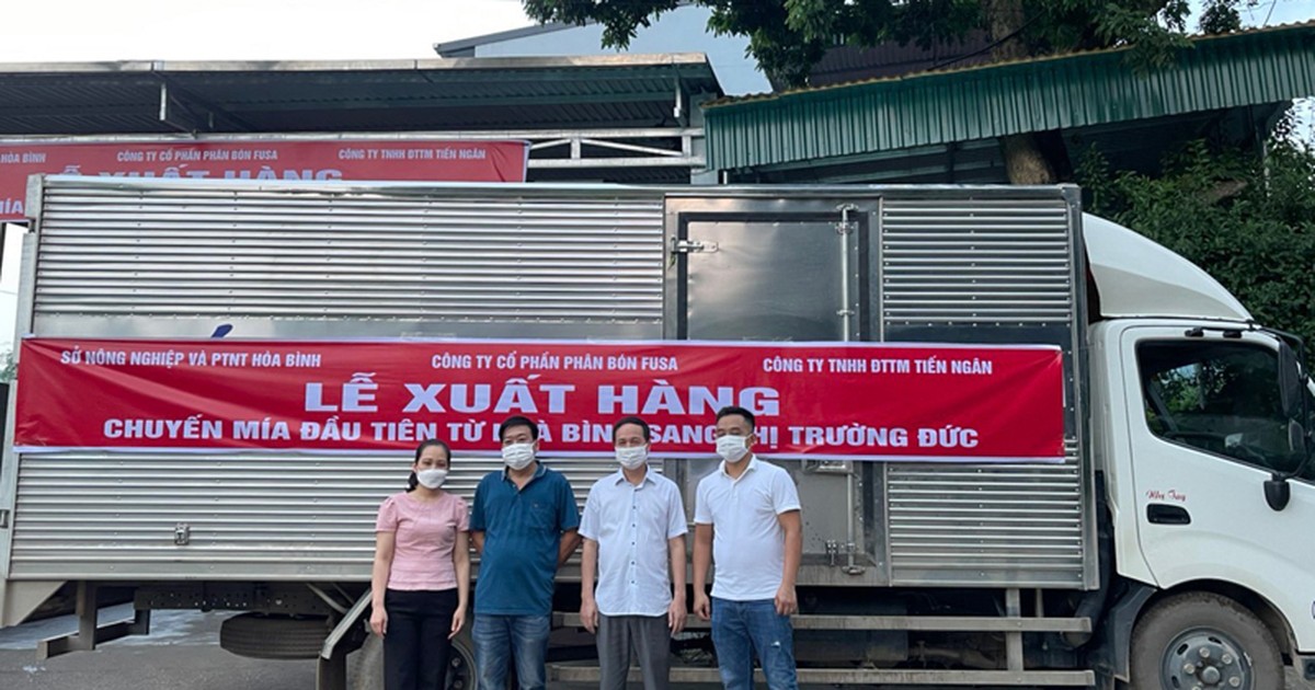 Nông sản Hoà Bình rộng đường xuất ngoại - Ảnh 1.