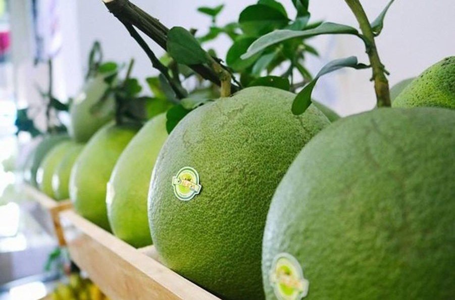 Trái bưởi Việt đi Mỹ: Cơ hội và thách thức - Ảnh 1.