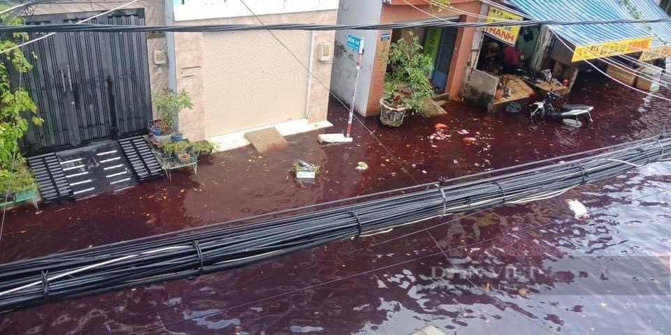 TP.HCM: Hai đoạn đường giao nhau tại phường Tân Thới Hòa nước màu đỏ ngòm, người dân bất ngờ không biết từ đâu - Ảnh 1.