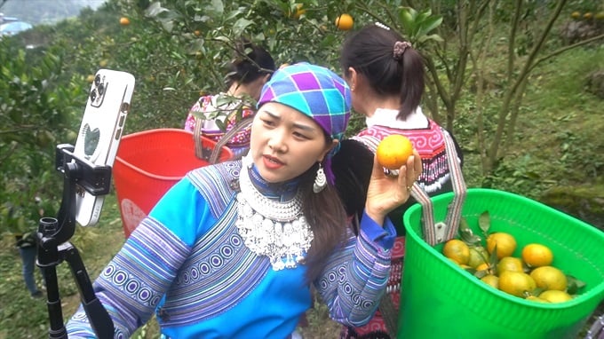Thích ứng cùng tiêu dùng số - Ảnh 2. Thích ứng cùng tiêu dùng số - Ảnh 2.