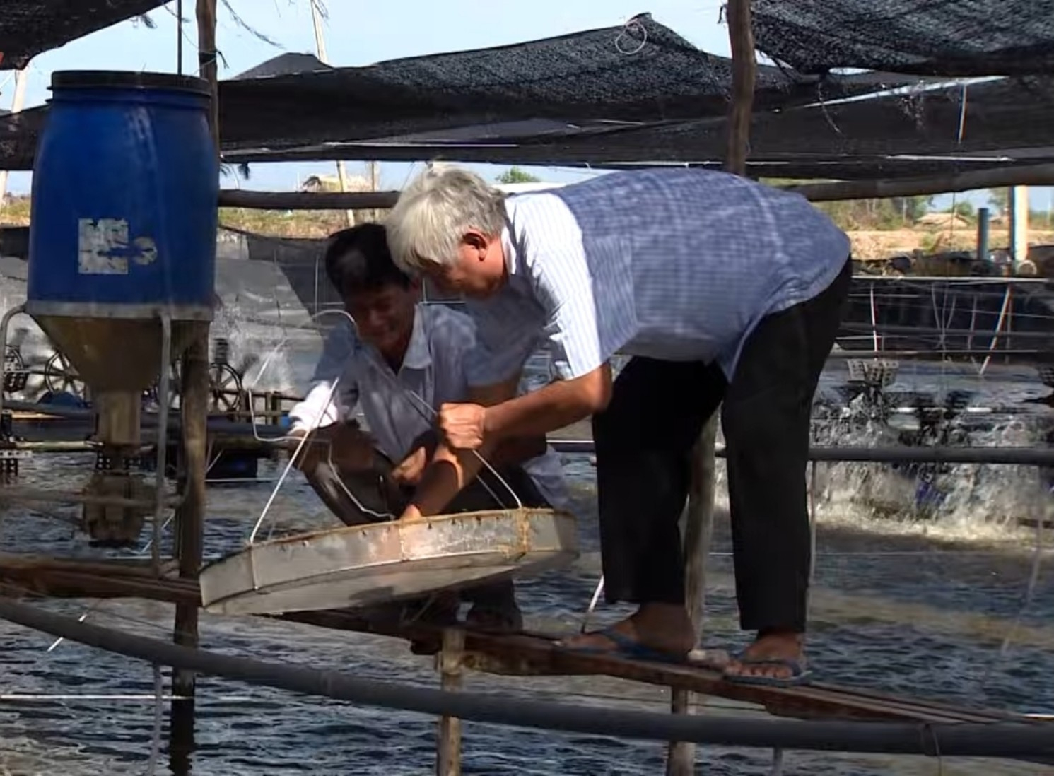 Nuôi tôm quy trình khép kín, 3 tháng lại thu tiền tỷ - Ảnh 3. Nuôi tôm quy trình khép kín, 3 tháng lại thu tiền tỷ - Ảnh 3.