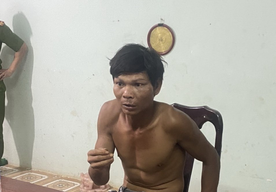 Khung hình phạt mà nghi phạm dùng cuốc đập phá ôtô, sát hại chủ xe có thể đối mặt? - Ảnh 1.