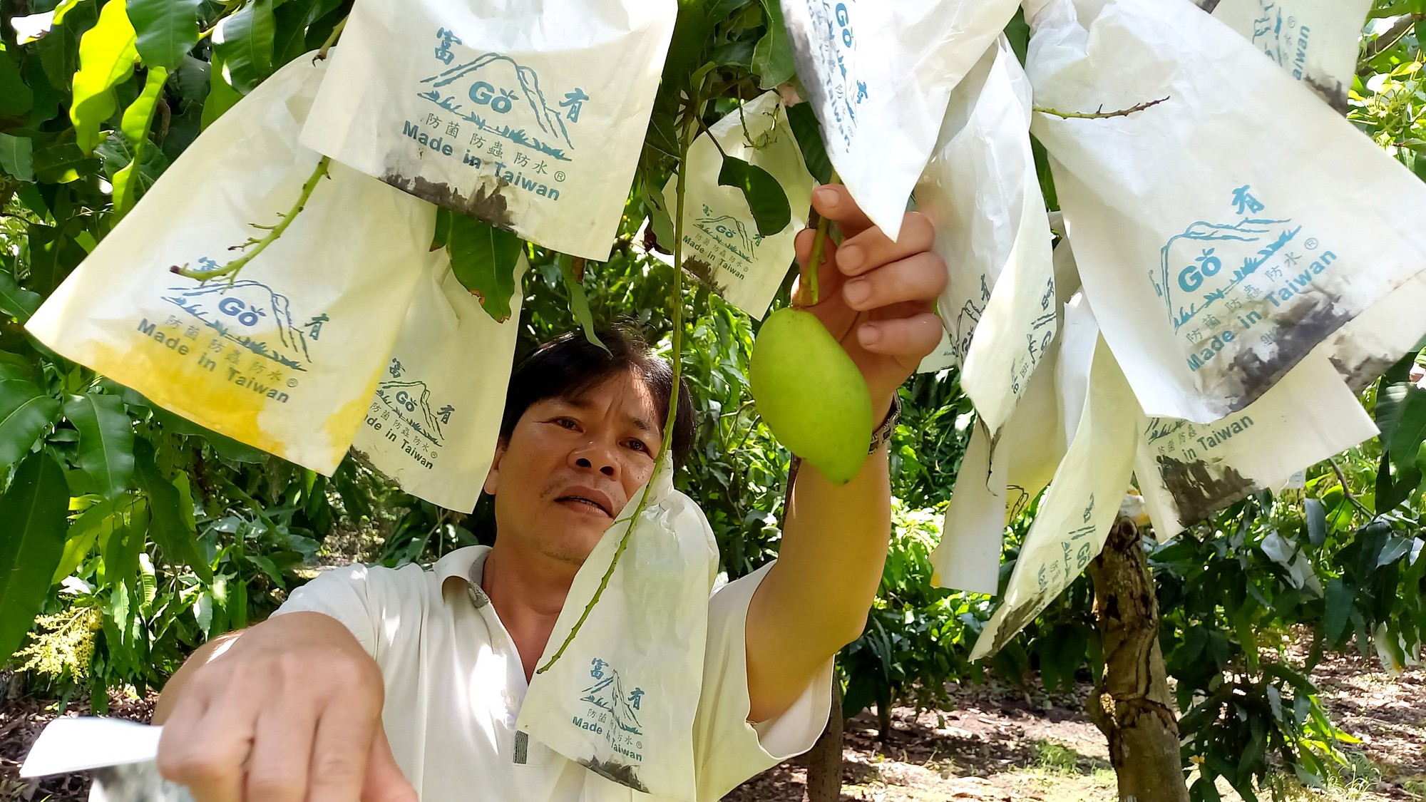 Háo hức tham gia làm sản phẩm OCOP - Ảnh 1.