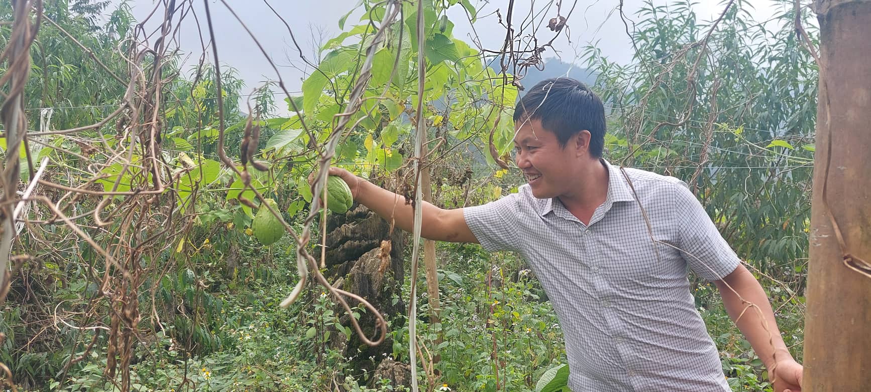 Triệu phú trẻ đầu tiên ở thủ phủ cây thuốc phiện - Ảnh 2. Triệu phú trẻ đầu tiên ở thủ phủ cây thuốc phiện - Ảnh 2.