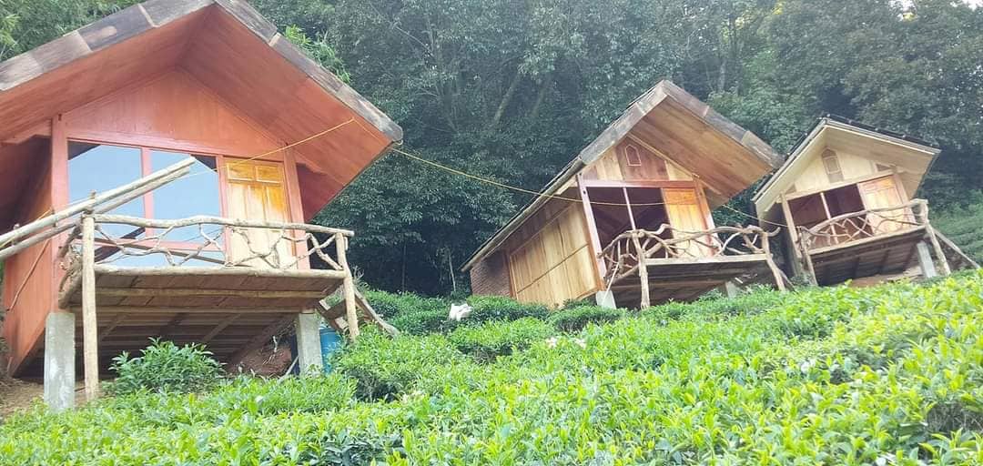 Triệu phú trẻ đầu tiên ở thủ phủ cây thuốc phiện - Ảnh 7. Triệu phú trẻ đầu tiên ở thủ phủ cây thuốc phiện - Ảnh 7.