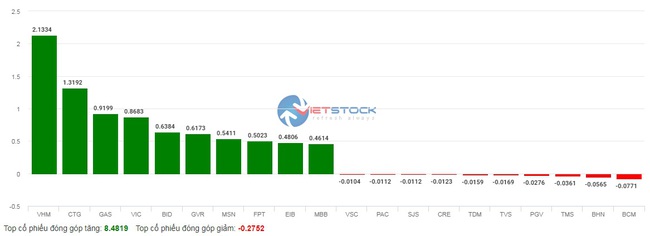 Nhà đầu tư cá nhân đua nhau &quot;cắt lỗ&quot;, VN-Index giảm gần 30 điểm - Ảnh 2.