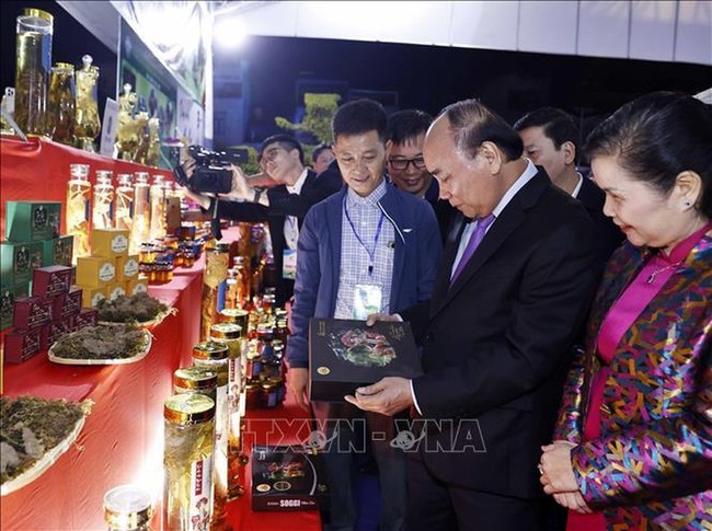 Quan tâm bảo tồn và quy hoạch phát triển Sâm Lai Châu để đồng bào thoát nghèo, vươn lên làm giàu - Ảnh 4.