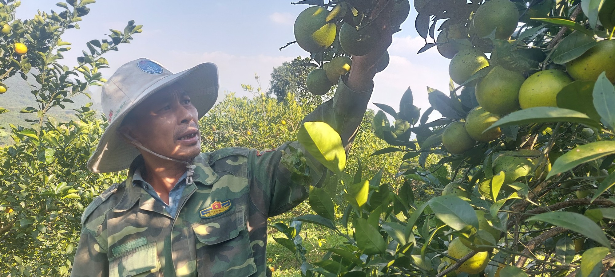 Gắn sao cho nông sản đất Mường, cam và cá bán đắt như tôm tươi  - Ảnh 2.