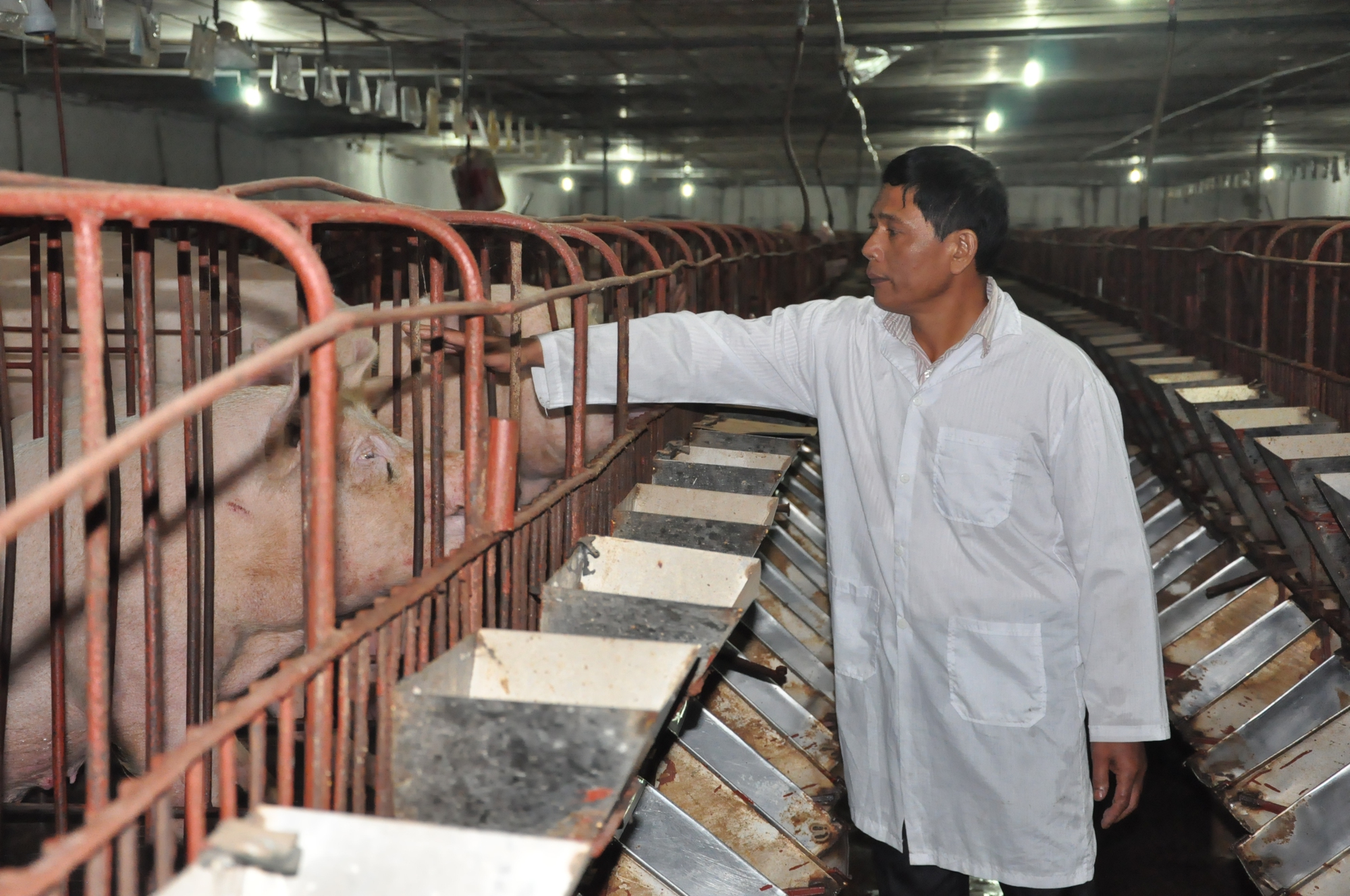 Ứng dụng công nghệ cao, Hợp tác xã vượt khó - Ảnh 2.