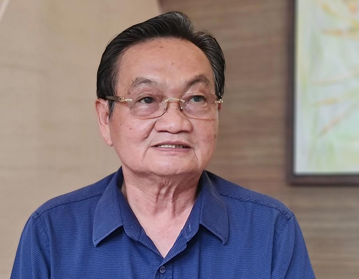 Đông Nam bộ cần cơ chế hội đồng vùng - Ảnh 1.
