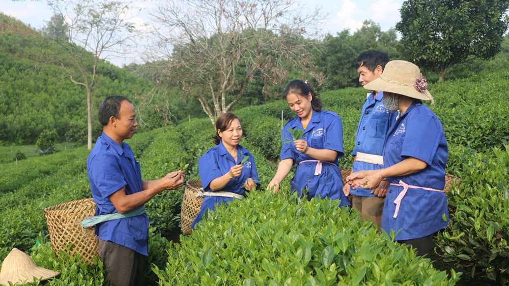 Thay đổi hành vi của nông dân về sử dụng thuốc BVTV - Ảnh 1.