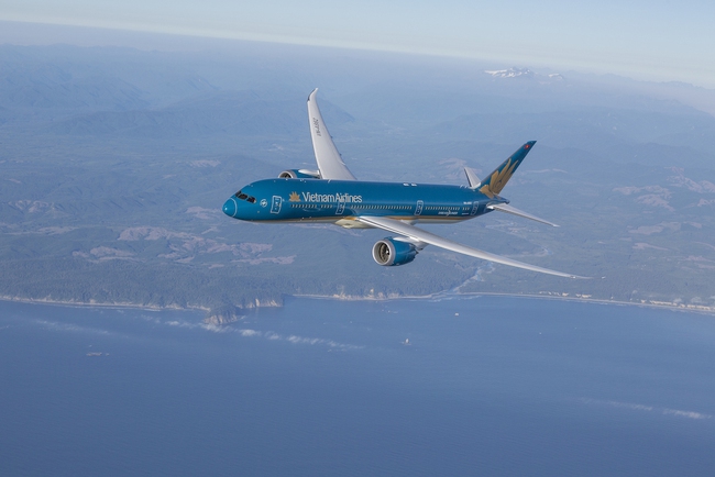 Vietnam Airlines nói gì về phi công có mẫu xét nghiệm dương tính với chất cấm - Ảnh 3.