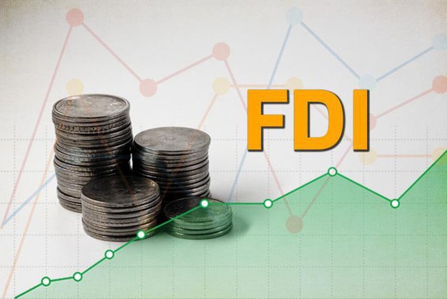 Thu hút FDI vẫn sáng cửa - Ảnh 1.