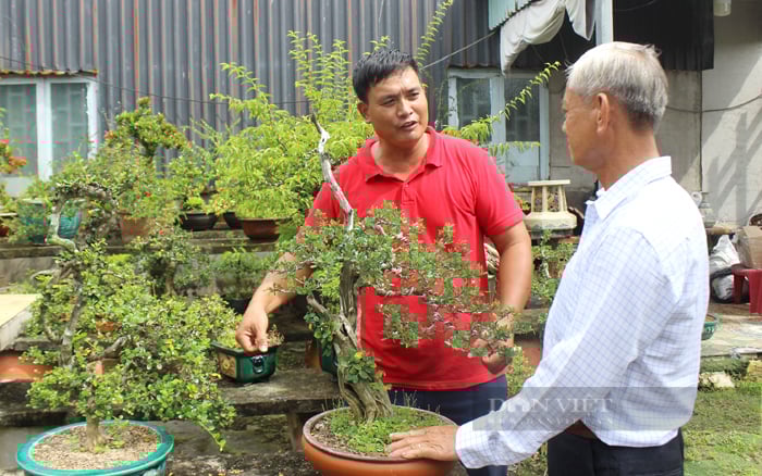 Nông dân huyện Bình Chánh phát triển mô hình trồng bonsai, hoa kiểng theo chính sách chuyển dịch cơ cấu nông nghiệp đô thị TP.HCM. Ảnh: Trần Khánh