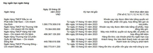 TTC Sugar (SBT): Chốt ngày đăng ký trả cổ tức, Quý I niên độ 2022-2023 báo lãi ròng tăng trưởng mạnh - Ảnh 3.