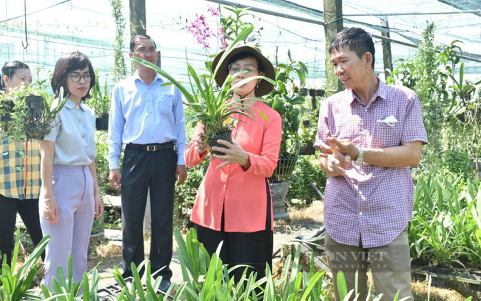 Bà Nguyễn Thị Kim Dung - Phó Bí thư Đảng ủy Khối Dân – Chính – Đảng TP.HCM tham quan mô hình trồng lan ở HTX hoa lan Đa Phước, Bình Chánh. Ảnh: T.L