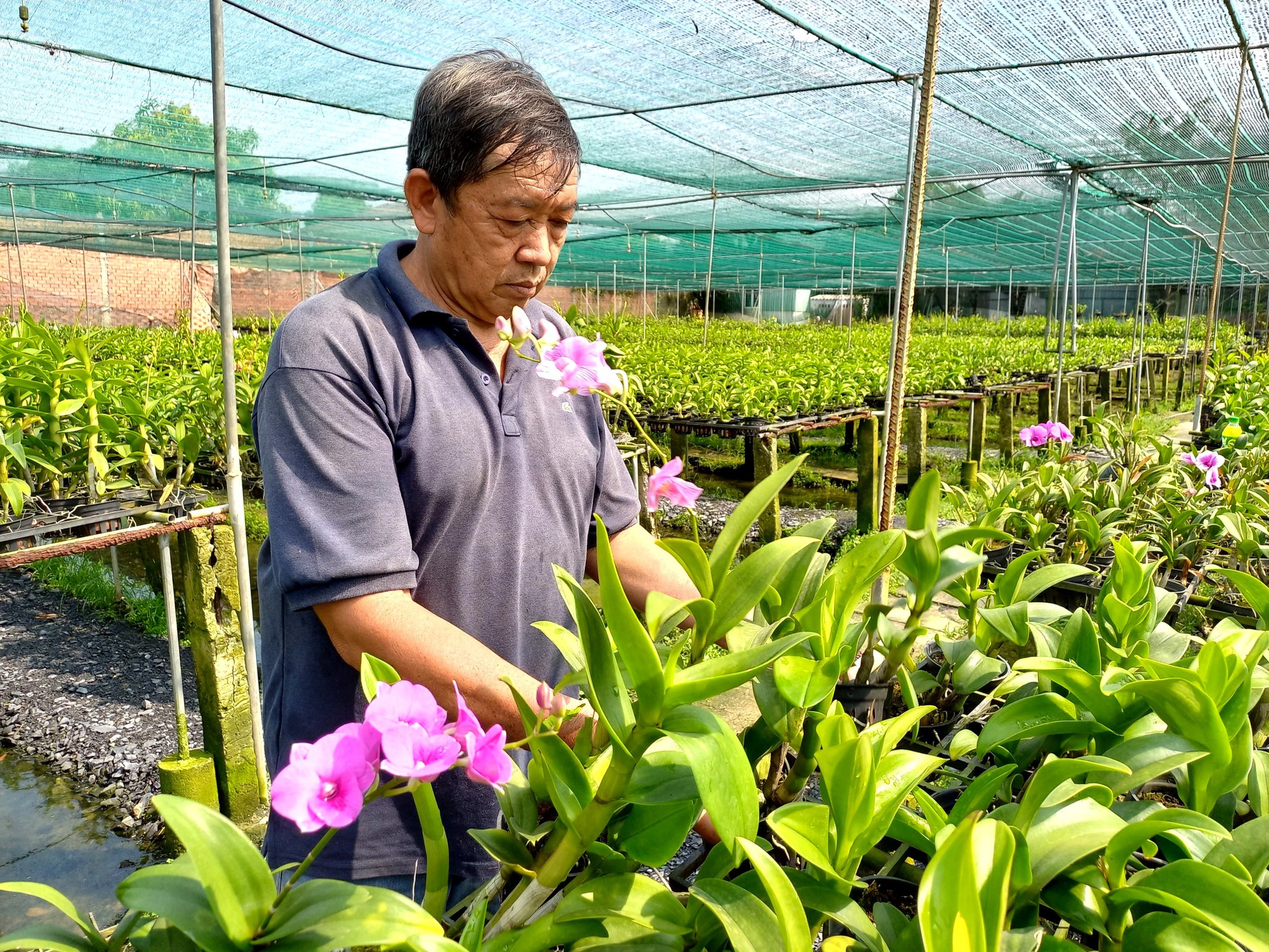 Chuyển dịch cơ cấu nông nghiệp đô thị TP.HCM: “Cú hích” từ hỗ trợ vốn - Ảnh 1.