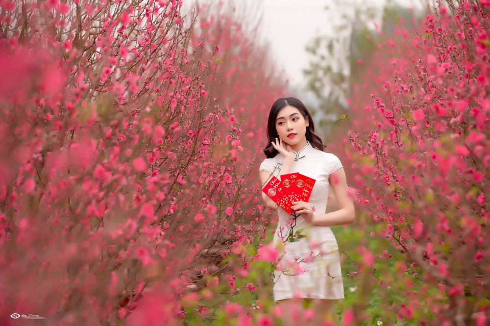 Chính phủ đồng ý nghỉ Tết Nguyên đán 2023 trong 7 ngày - Ảnh 1.