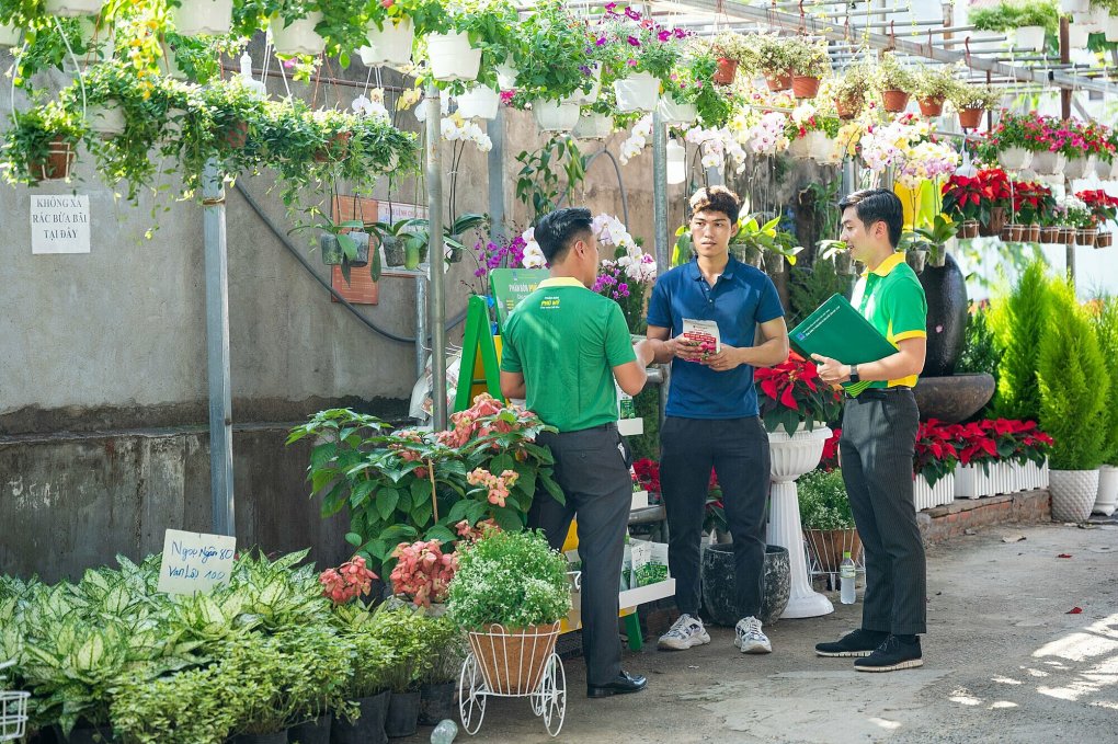 Sản phẩm phân bón dành cho nông nghiệp đô thị  - Ảnh 3.