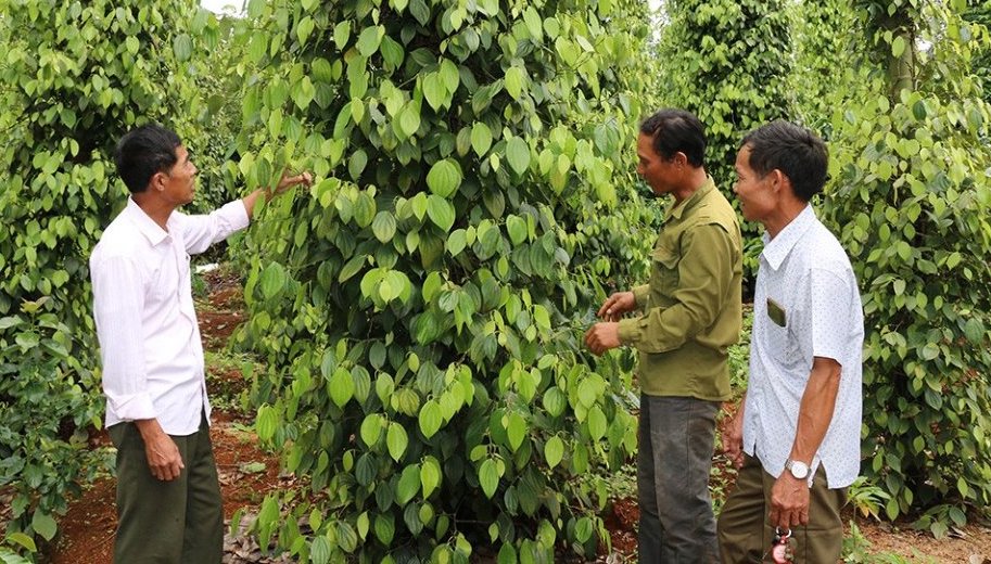 “Cánh tay nối dài” giúp nông dân vượt qua khốn khó  - Ảnh 1.