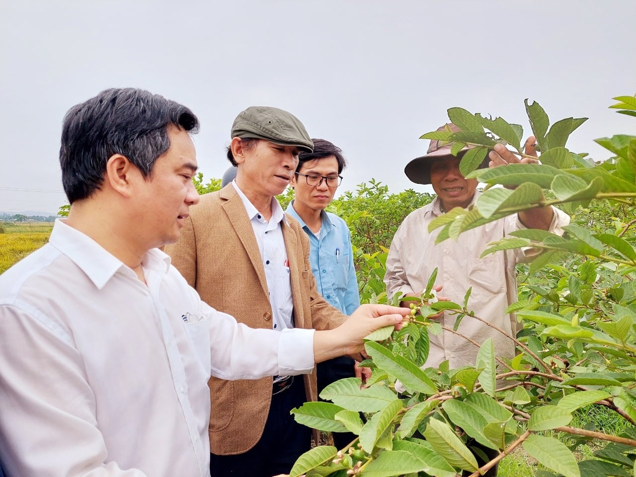 TT-Huế: Các mô hình của nông dân tỷ phú giải quyết việc làm cho hơn 35.000 lao động  - Ảnh 1.
