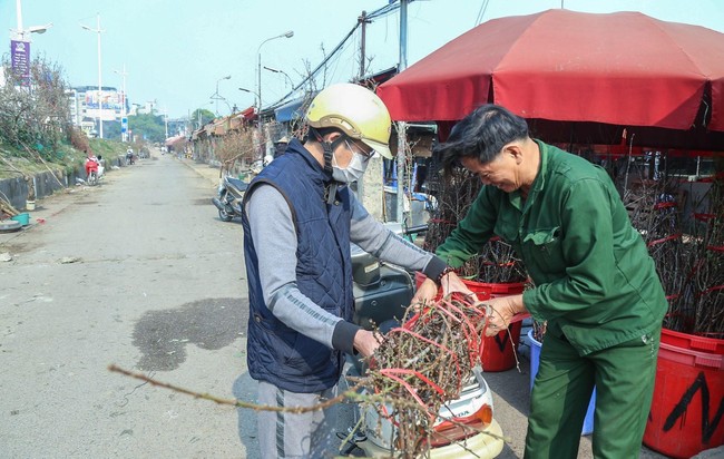 Đào Nhật Tân xuống phố phục vụ Tết Dương lịch 2023 - Ảnh 5.