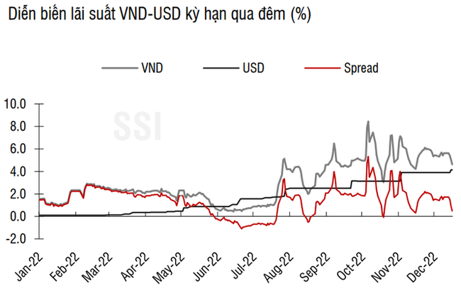 NHNN phát tín hiệu sẵn sàng mua USD - Ảnh 2.