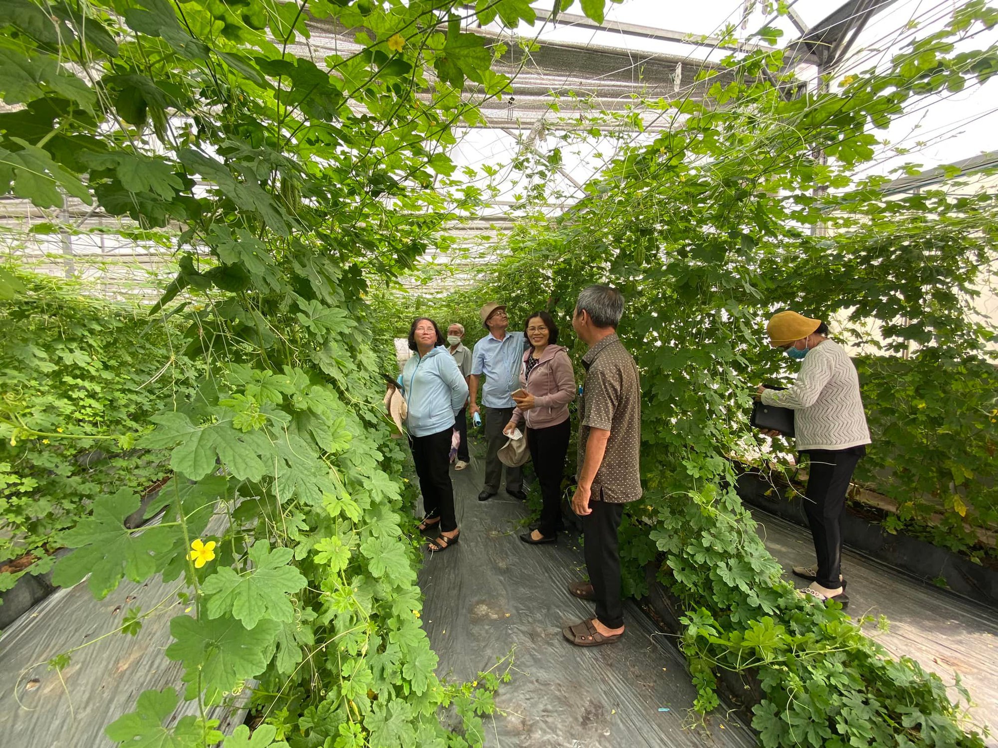 TP.HCM là trung tâm sản xuất con giống của khu vực vào năm 2030 - Ảnh 1.