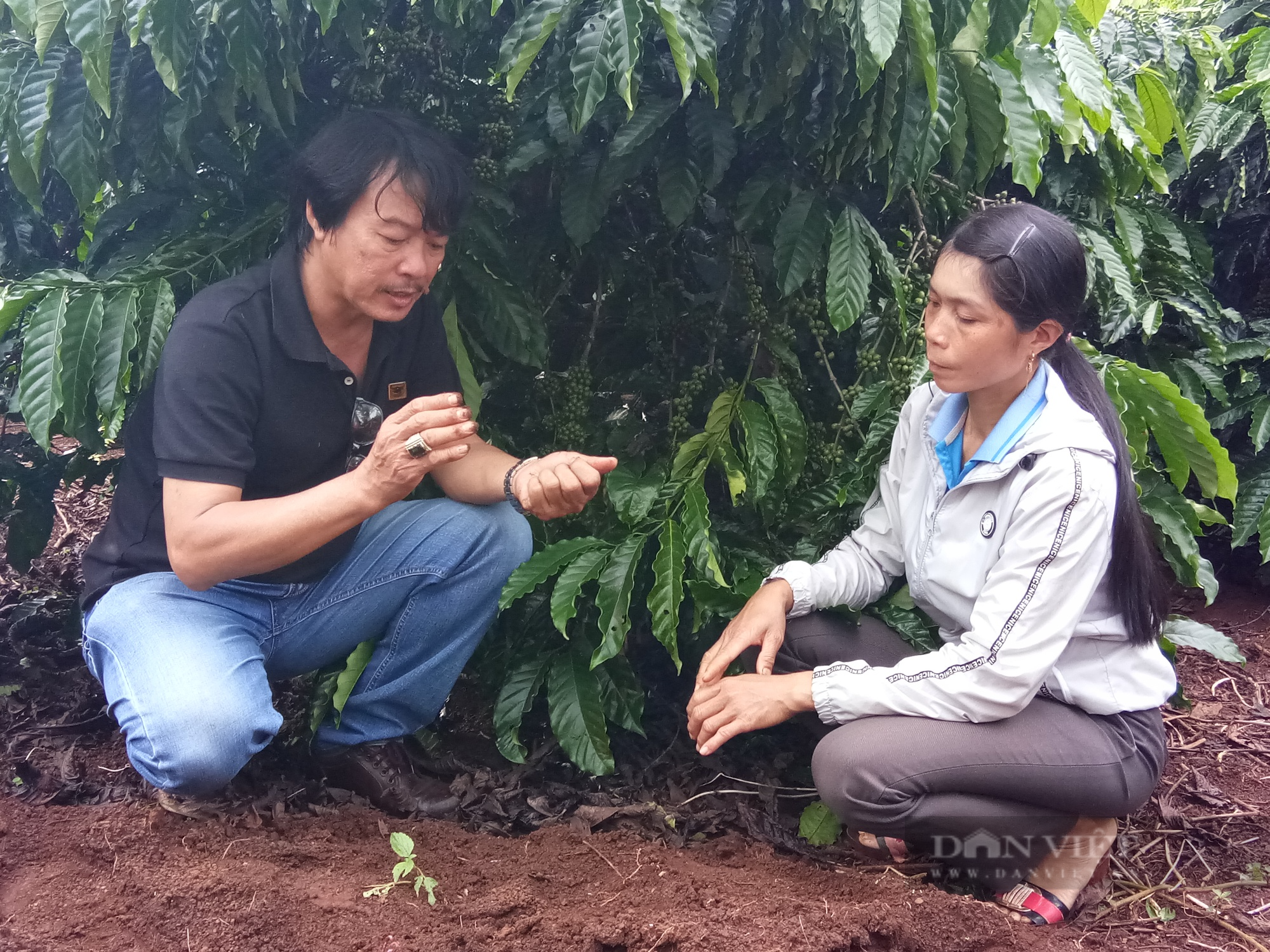 Bình Điền xây dựng mô hình canh tác cà phê thông minh cho 5 tỉnh Tây Nguyên - Ảnh 2.