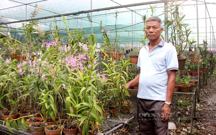 Ông Nguyễn Văn Lót, chủ vườn lan Tuấn Văn Garden. Ảnh: Nguyên Vỹ