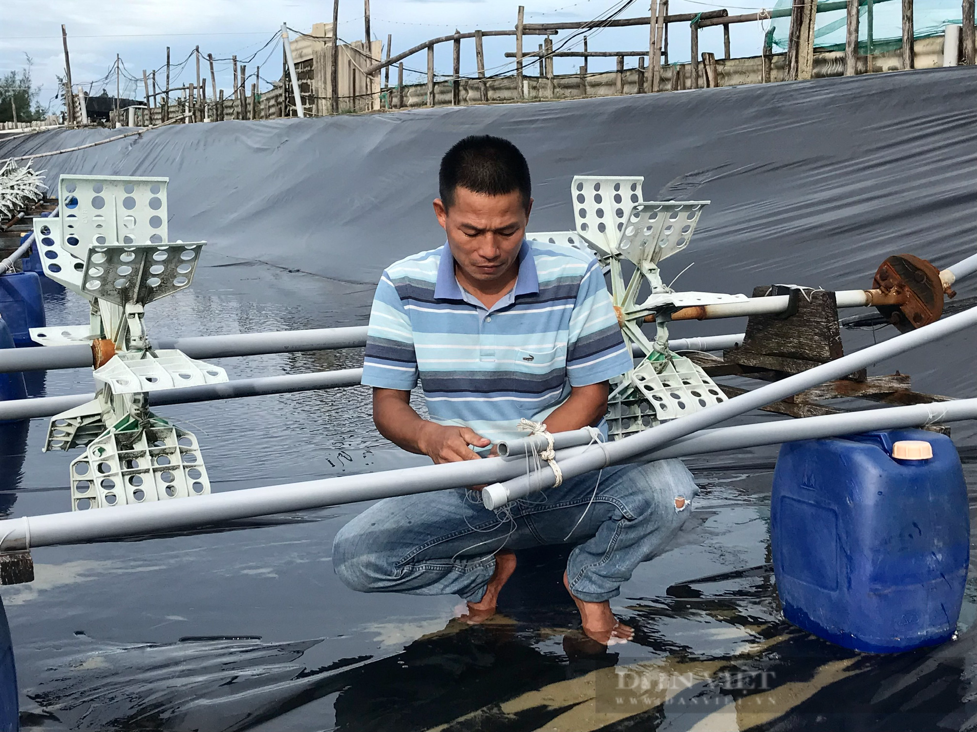 Nuôi tôm đạt năng suất hàng chục tấn/ha, nhiều nông dân miền Trung thu lợi nhuận tiền tỷ - Ảnh 1.