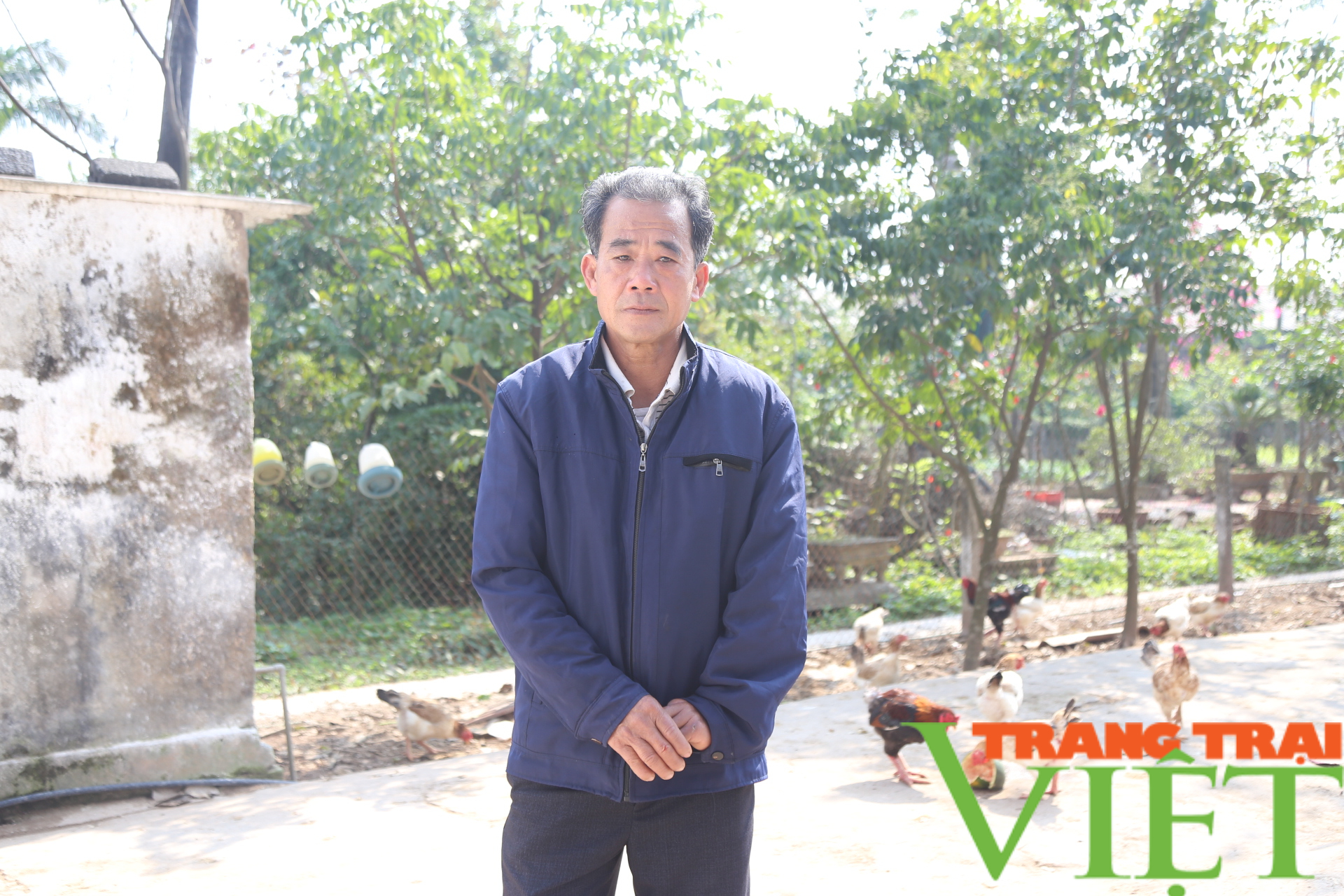 Loài gà trong sách đỏ có thịt thơm, ngon, người dân vô tư nuôi và buôn bán - Ảnh 4. Loài gà trong sách đỏ có thịt thơm, ngon, người dân vô tư nuôi và buôn bán - Ảnh 4.