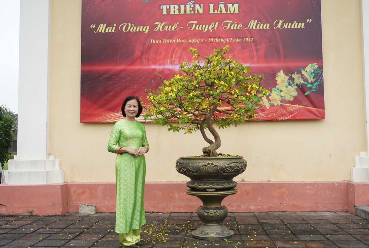Chuyên gia “hiến kế” đưa mai vàng Huế trở thành sản phẩm chủ lực phát triển du lịch  - Ảnh 5.