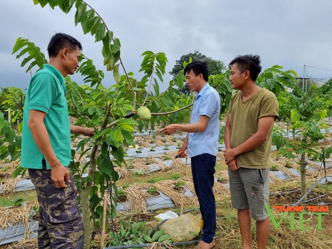 Mai Sơn thực hiện tốt mục tiêu kép - Ảnh 3.