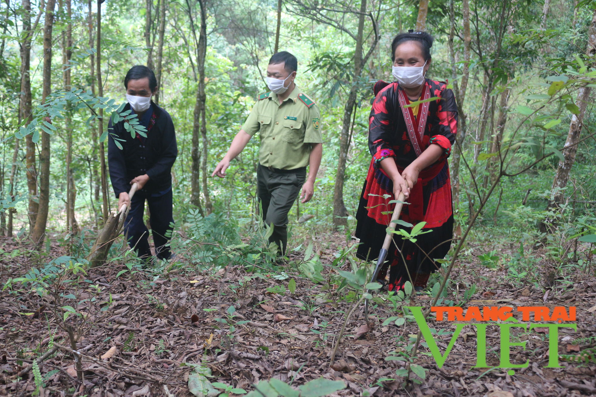 Nông thôn Tây Bắc: Mường Chà vào mùa nương rẫy, không để đất nương lấn chiếm đất rừng - Ảnh 3. Nông thôn Tây Bắc: Mường Chà vào mùa nương rẫy, không để đất nương lấn chiếm đất rừng - Ảnh 3.