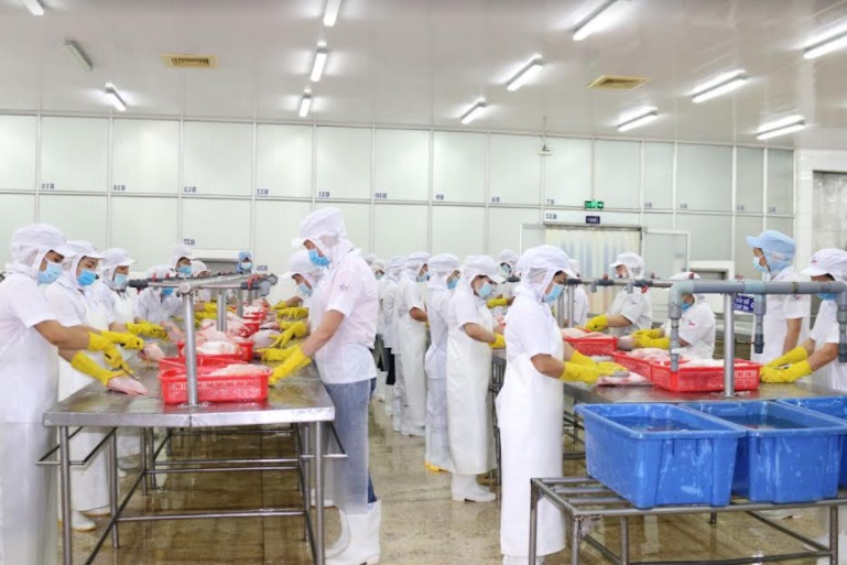 Giá xăng tăng cao, doanh nghiệp lo “vỡ kế hoạch” sản xuất - Ảnh 2.