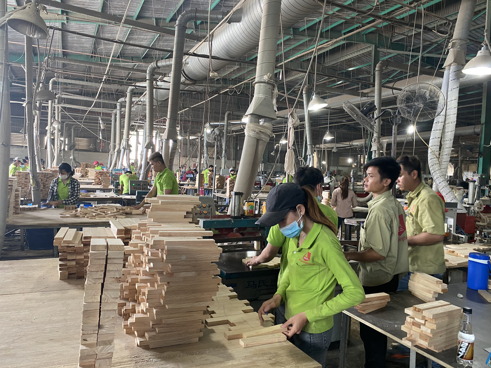 tannien/Chủ động nguồn nguyên liệu, xuất khẩu gỗ lập kỷ lục - Ảnh 2.