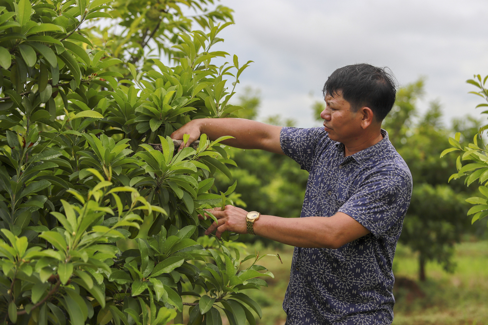Đổi mới tư duy sản xuất nông nghiệp - Ảnh 2.