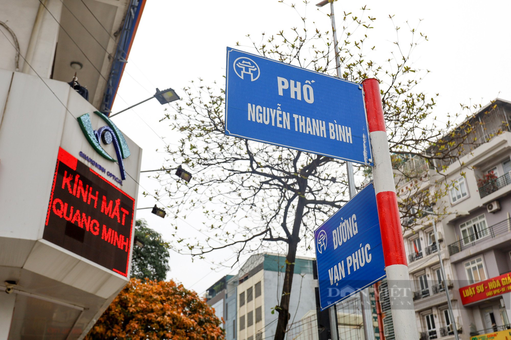 Địa điểm chụp ảnh hoa phong linh tại Hà Nội nằm ở đâu? - Ảnh 6.