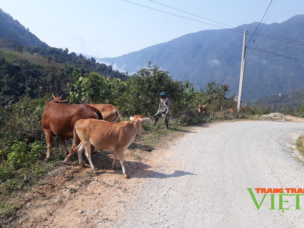Nông thôn Tây Bắc: Vượt khó xây dựng nông thôn mới ở một xã vùng cao - Ảnh 2. Nông thôn Tây Bắc: Vượt khó xây dựng nông thôn mới ở một xã vùng cao - Ảnh 2.