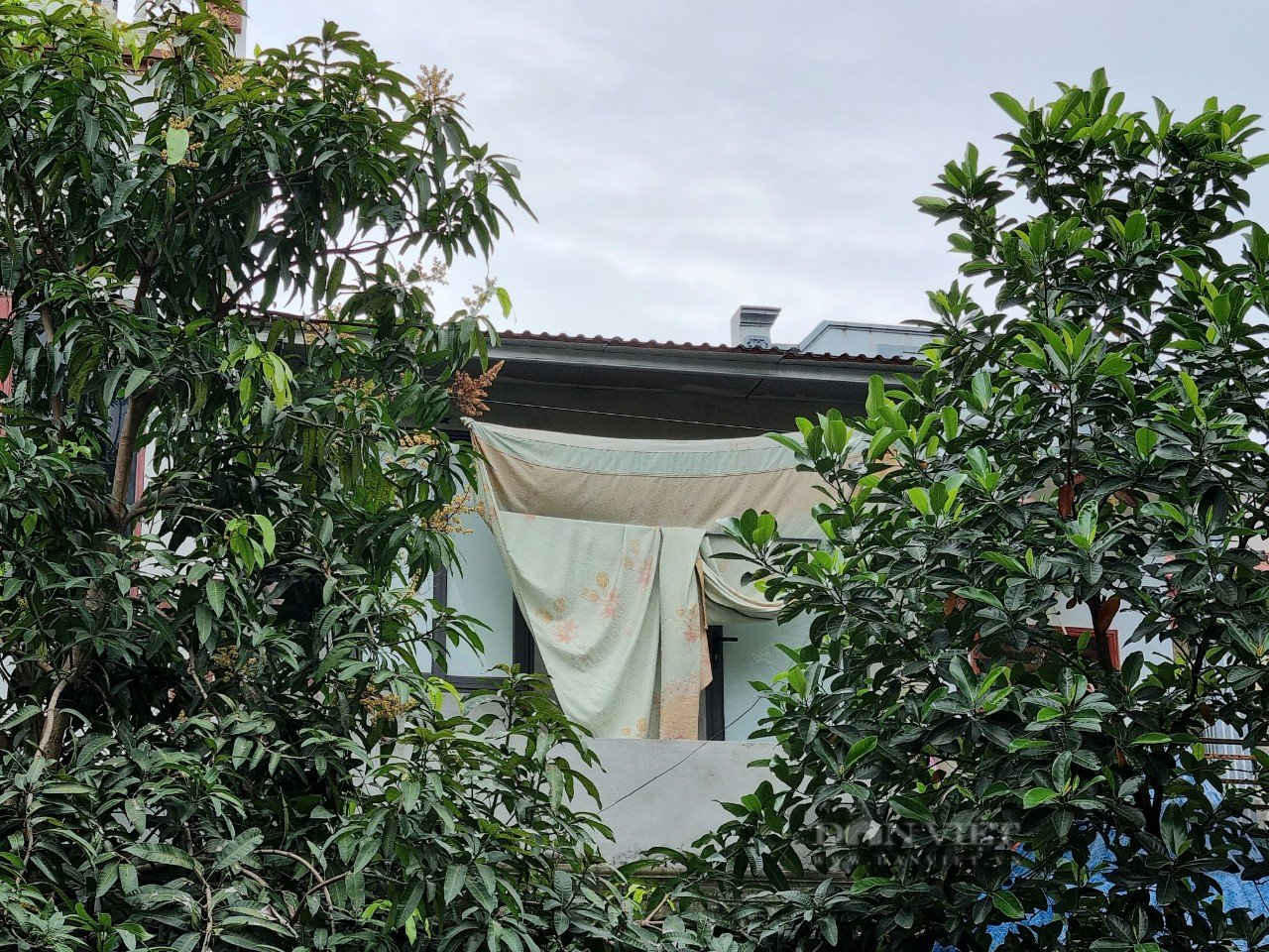 Vụ giết, đốt rồi phân xác người yêu ở Ninh Bình: Bố đẻ đối tượng Phạm Văn Dũng nói gì  - Ảnh 2.