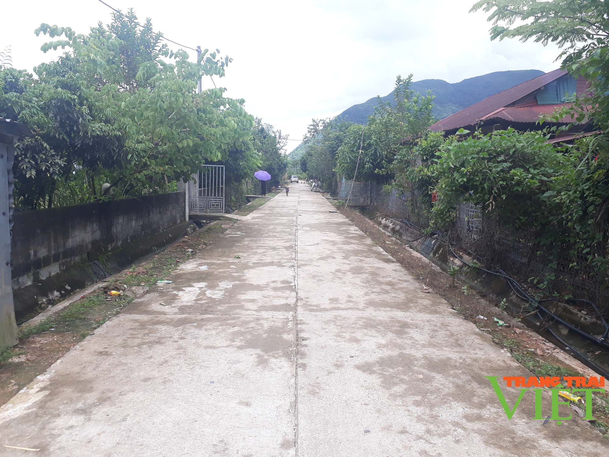Nhịp sống mới trên các bản tái định cư ở Lai Châu - Ảnh 2. Nhịp sống mới trên các bản tái định cư ở Lai Châu - Ảnh 2.