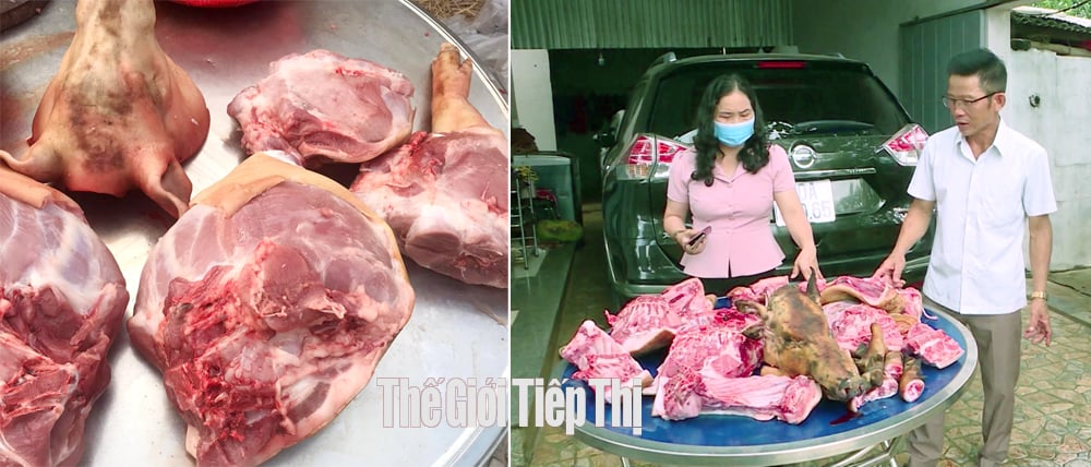 Heo rừng lai nuôi theo hướng hữu cơ cho chất lượng thịt thơm ngon. Ảnh: Trần Khánh