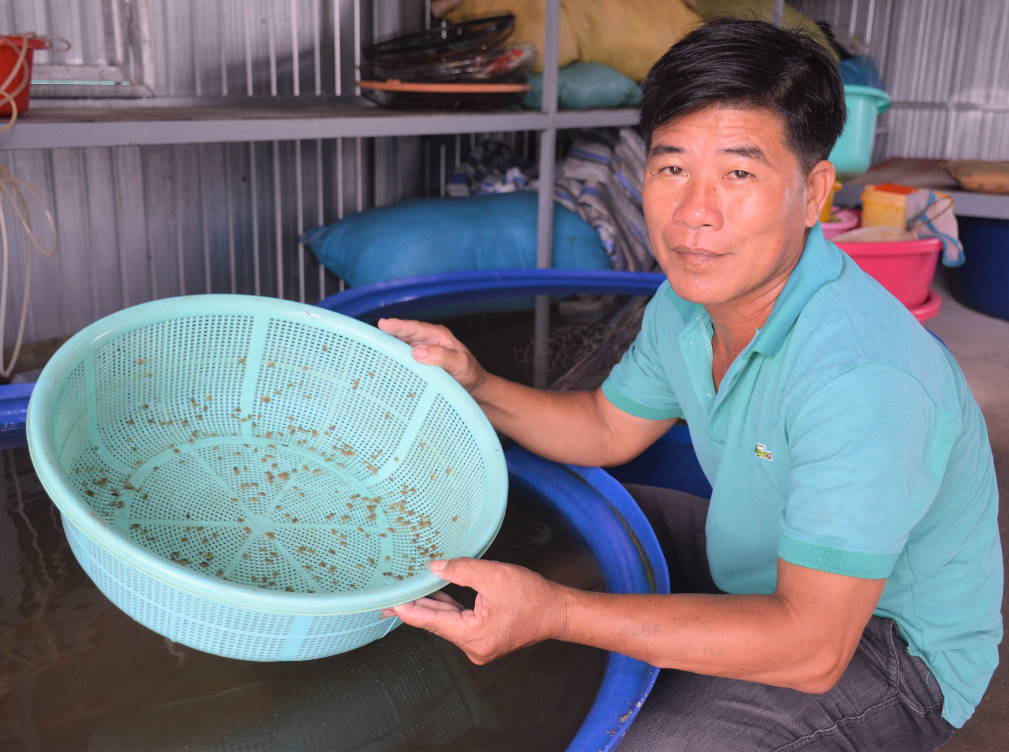 Hỗ trợ vốn và nhân sự giúp HTX đất Mũi vượt khó - Ảnh 3.