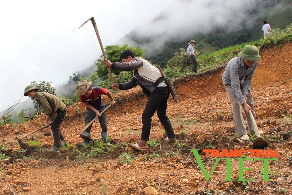 Tủa Chùa: Huy động sức dân trong phát triển hạ tầng ở Sính Phình - Ảnh 1. Tủa Chùa: Huy động sức dân trong phát triển hạ tầng ở Sính Phình - Ảnh 1.