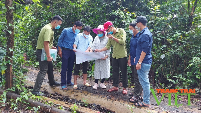 Điện Biên: Cần đẩy nhanh tiến độ giao đất, giao rừng   - Ảnh 1.