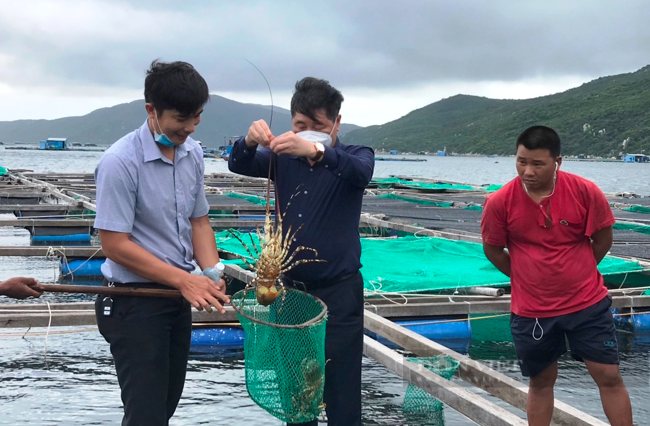 Phát triển nuôi trồng thủy sản ven biển bền vững: Cần quy hoạch cụ thể, hài hòa với  môi trường - Ảnh 3.